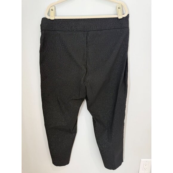 Jones & Co Pull On Skinny Ankle Pants, size 1X - Picture 7 of 13